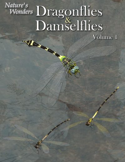 11757-nature-s-wonders-dragonflies-damselflies-of-the-world-vol-1-main-3