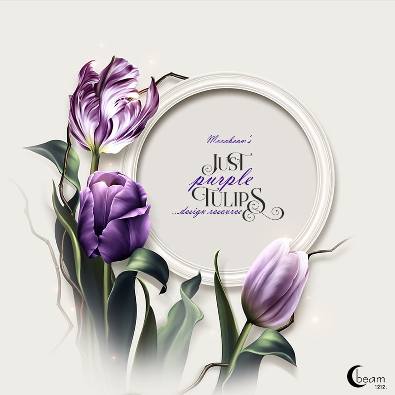 Moonbeam's Just Purple Tulips