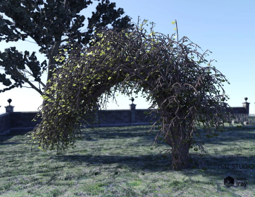 Natural Garden Arches