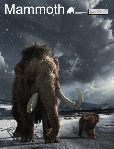 Woolly-Mammoth_1-3