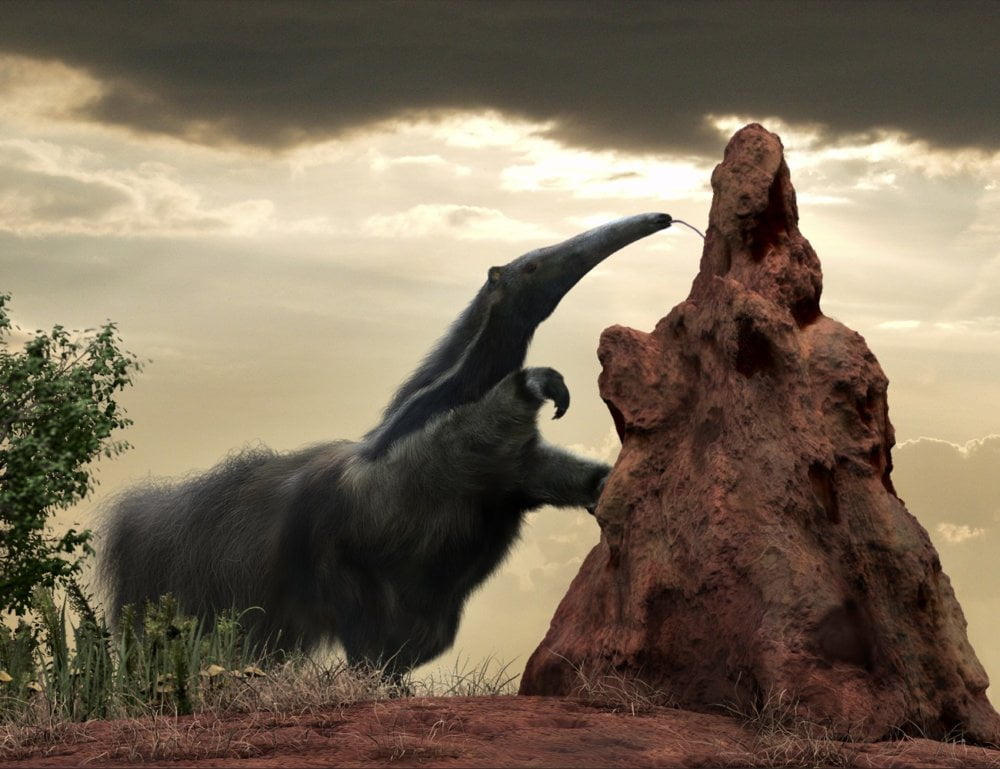 Giant Anteater by AM