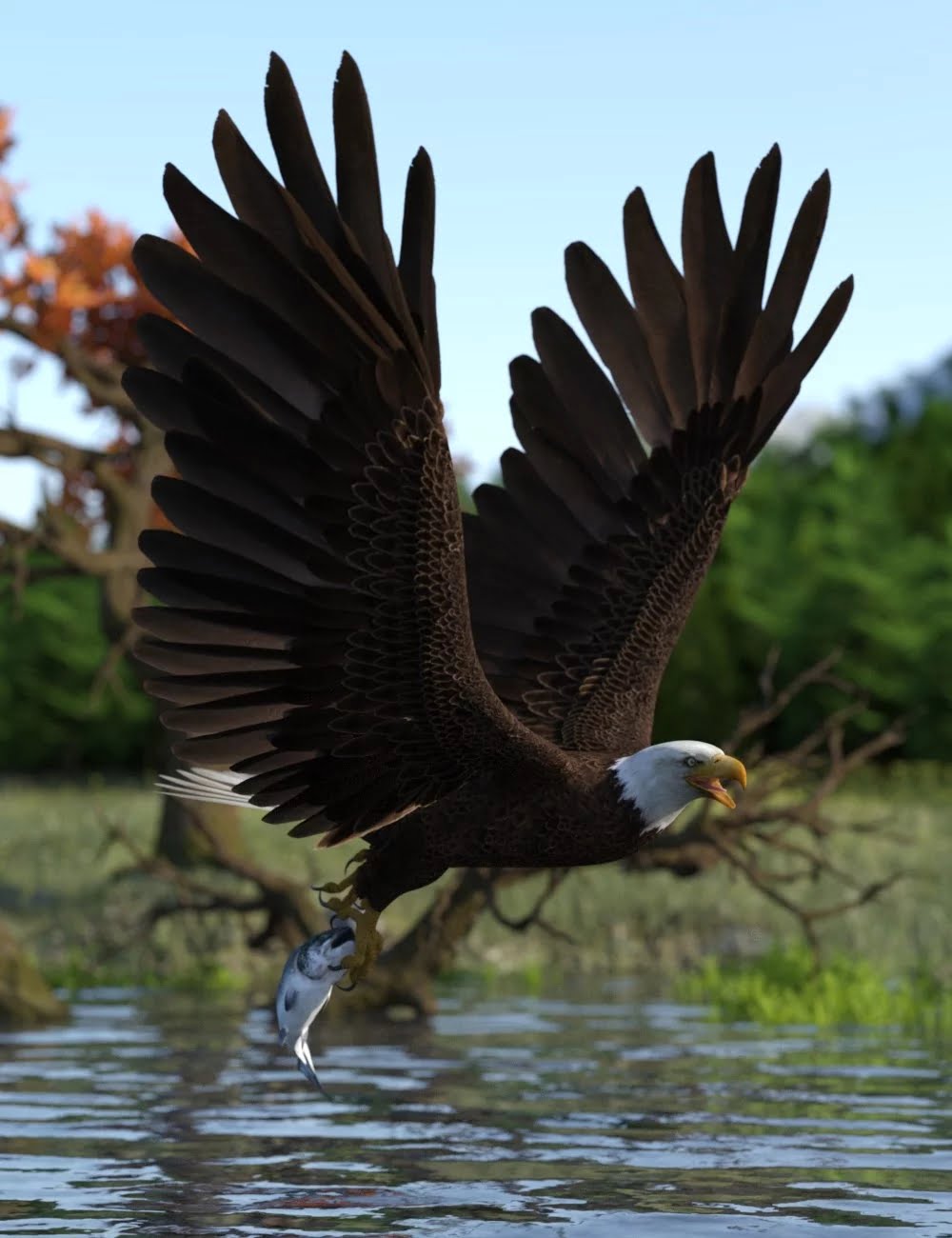 Deepsea’s Eagle Poses and Fish