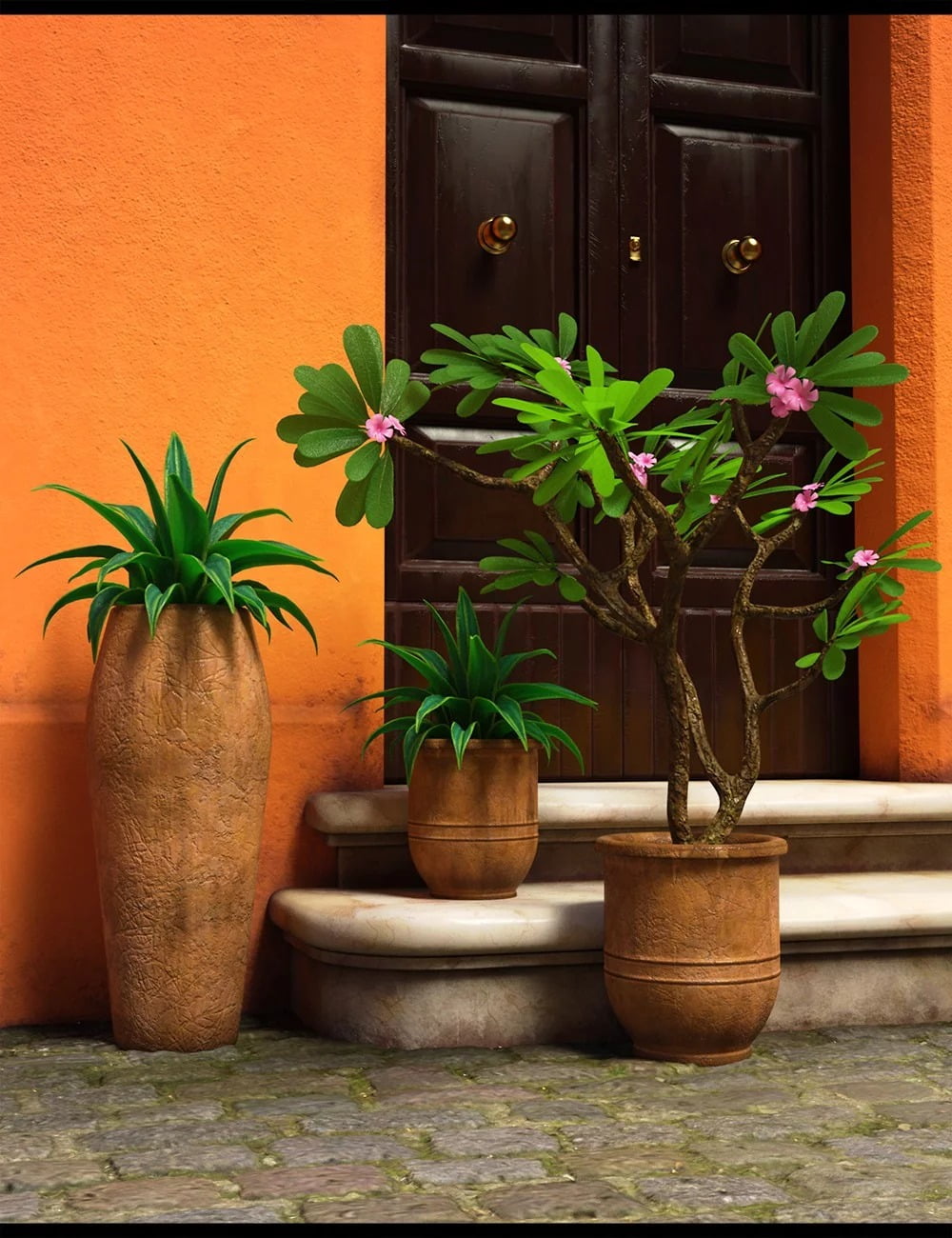 Street Vignettes - Calle Pintada