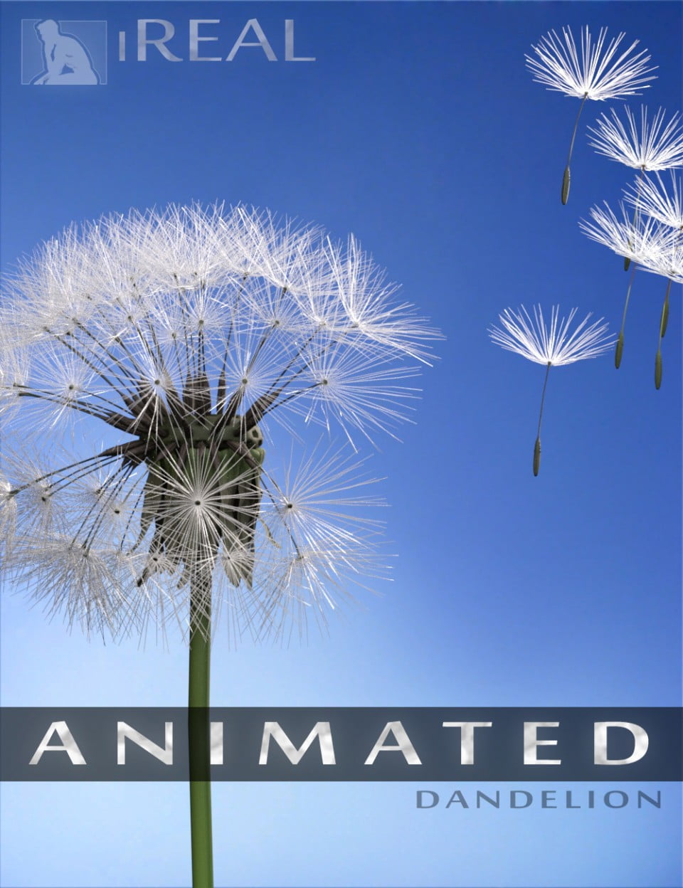 iREAL Animated Dandelion