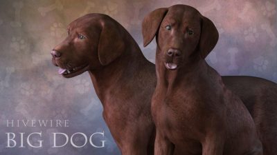 Full124982_c145655f583d6e2afbe0b76aae4ffeb1