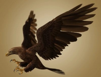 deepseas-eagle-aniblocks-and-texture-add-on-03-daz3d-2