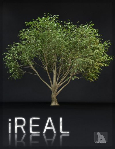 ireal-animated-hybrid-tree-00-main-daz3d-2