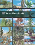 Nature Plants Bundle