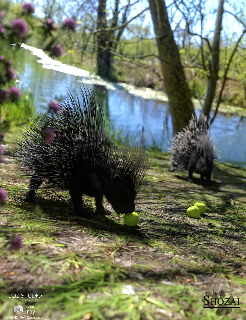 Rodents by AM: Crested Porcupine