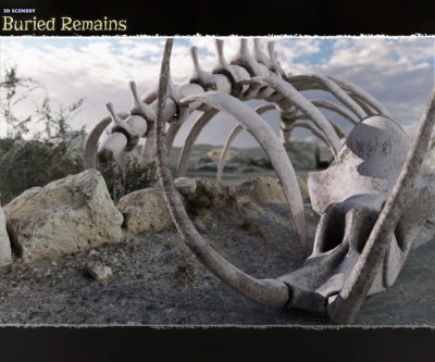 Full136625_f5bc780786f5ac065bfe1446d43351fc-2