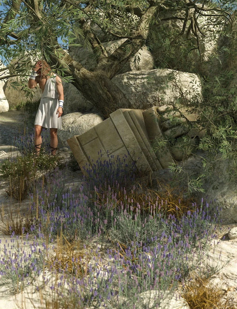 Garden Flowers - Lavender Bushes