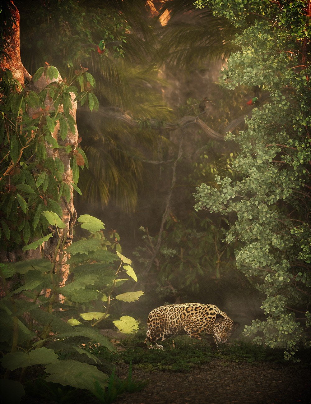 Tropical and Sub Tropical Foliage - Trees and Shrubs