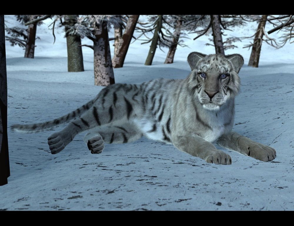 White Tiger for DAZ Big Cat 2