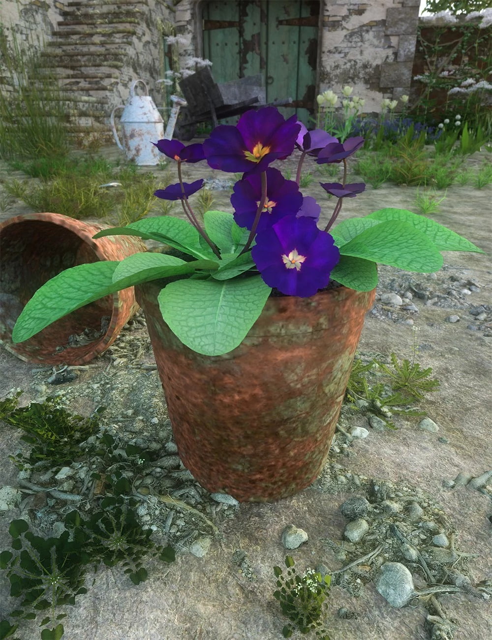 Wild Flowers Vol 8 - Wild Primrose