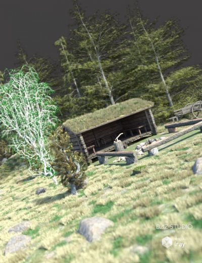 00-main-trail-shelter-daz3d