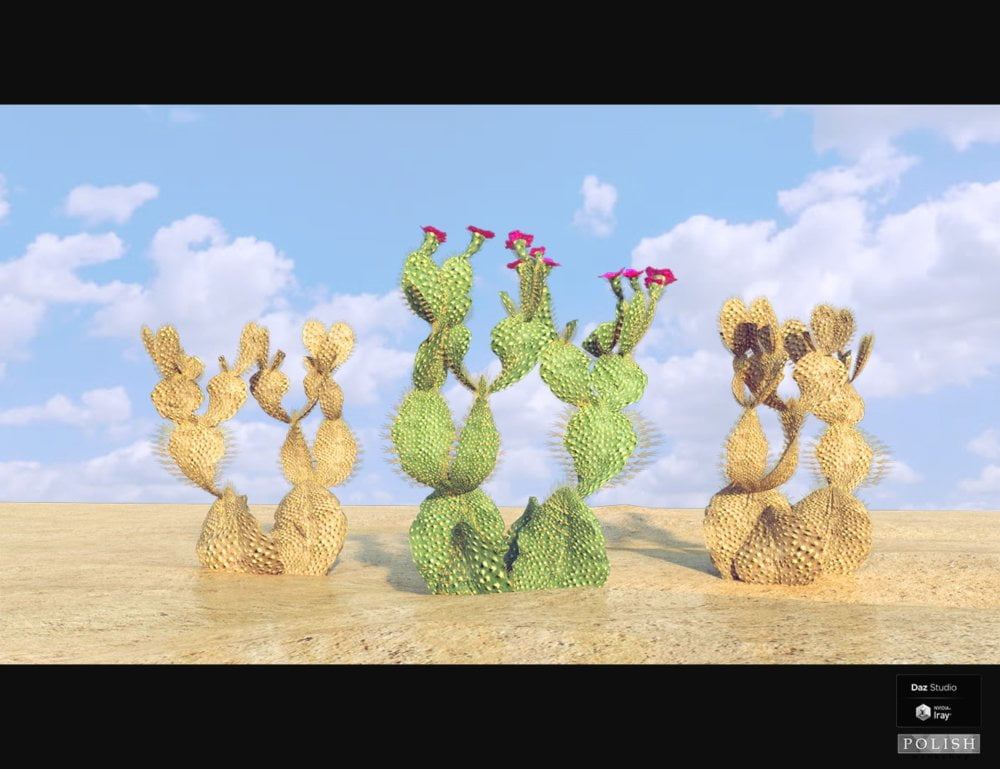 Nature Plants Bundle 02