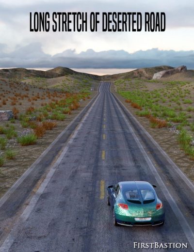 1stb-long-stretch-of-deserted-road-00-main-daz3d-2