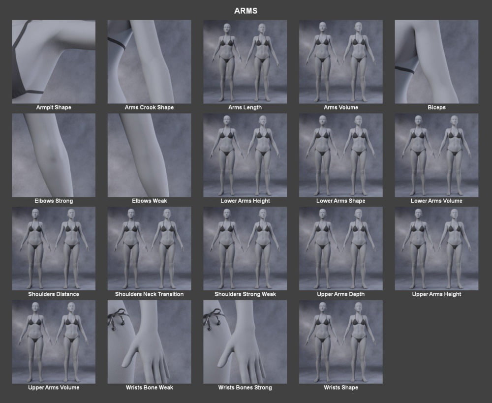 Body Morph Kit for Genesis 3 Female and Merchant Resource