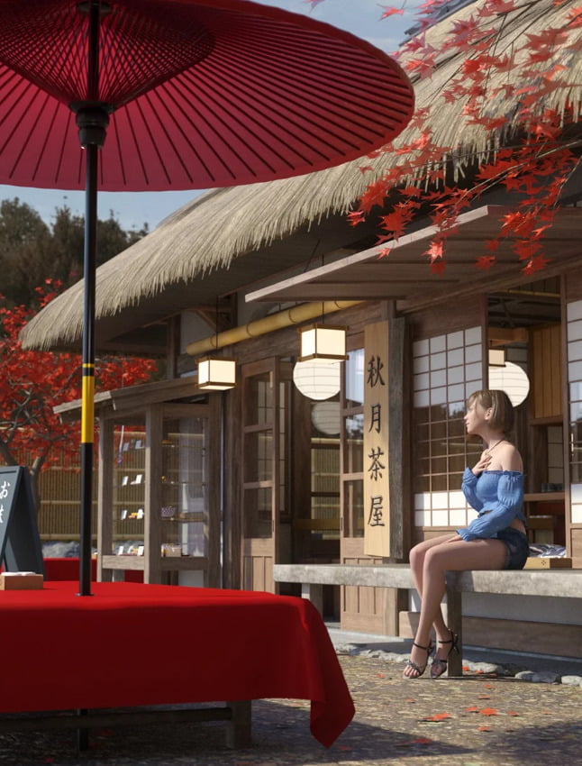 Traditional Japanese Tea Shop