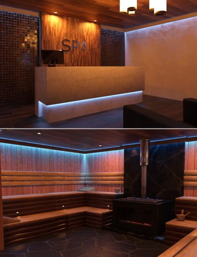 rl-sauna-and-reception-00-main-daz3d-2