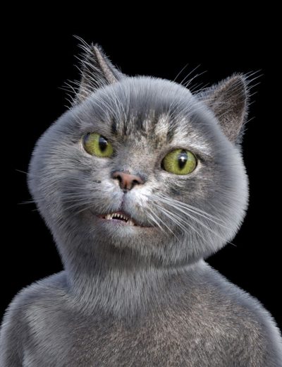 catoon-00-main-daz3d-2