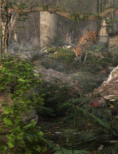 wild-plants-temperate-ferns-vol-2-00-main-daz3d-2