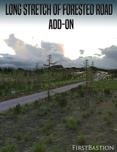 1stb-long-stretch-of-forested-road-add-on-00-main-daz3d-3