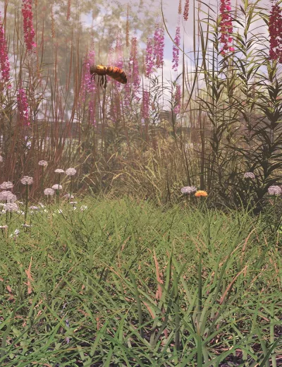 simply-grass-grass-plants-and-clumps-00-main-daz3d