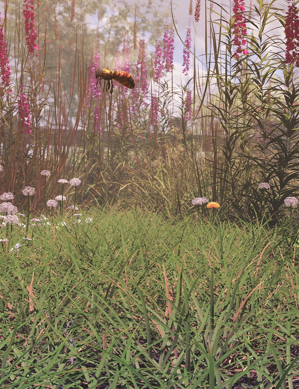 Simply Grass - Grass Plants and Clumps