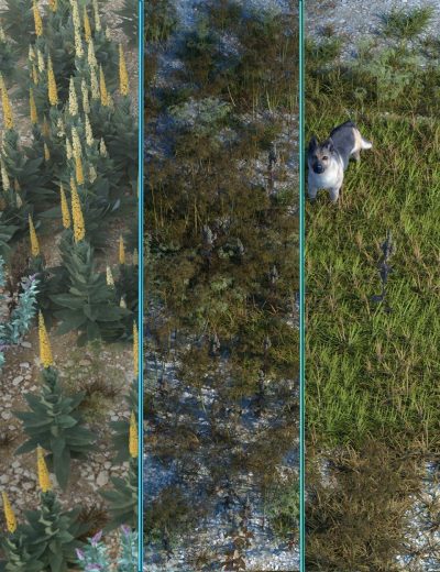 wasteland-plants-and-weeds-low-resolution-instant-ecosystems-00-main-daz3d-2