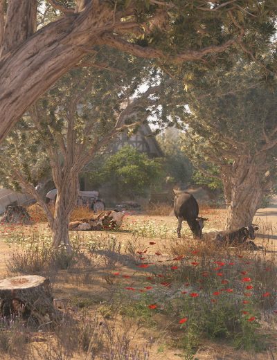 olive-grove-ancient-olive-trees-00-main-daz3d-2