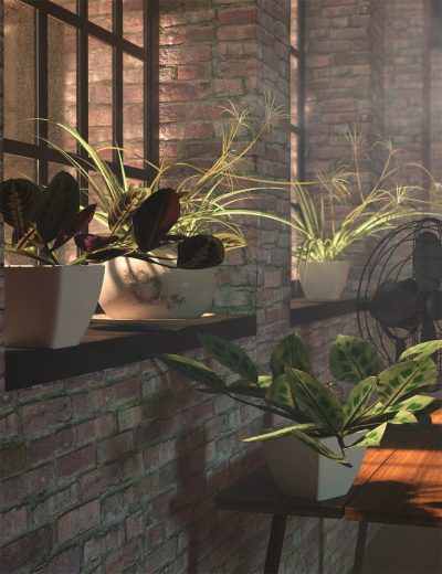tropical-plants-vol-4-house-plants-00-main-daz3d-2
