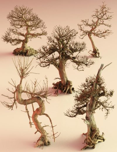 5-dead-bonsai-trees-volume-2-00-main-daz3d-2