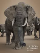 African Elephant Updated