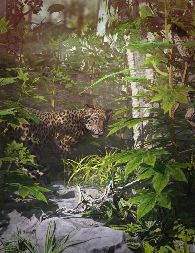 japanese-aralia-tropical-shrubs-and-foliage-00-main-daz3d-2