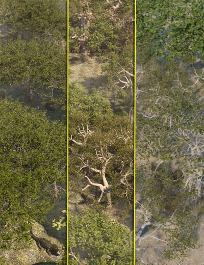 low-resolution-tropical-trees-and-shrubs-00-main-daz3d-2