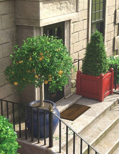 predatron-ornamental-trees-and-bushes-00-main-daz3d-2