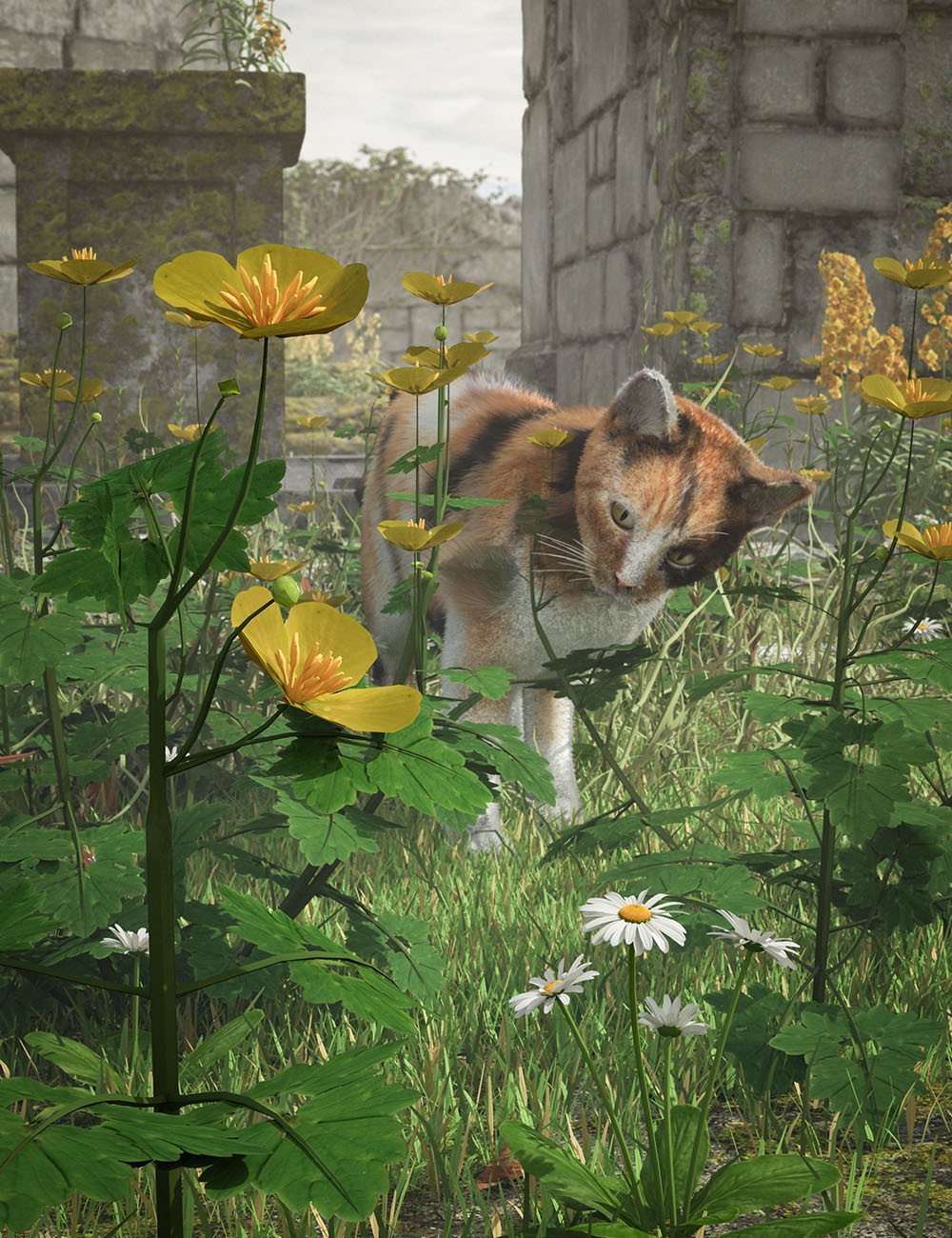 Wildflowers Buttercups and Celandine