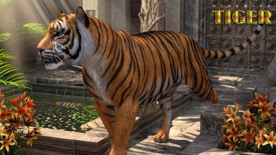 12097-hivewire-tiger-main-3