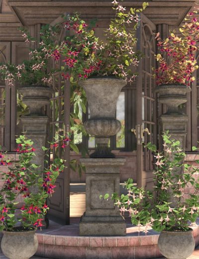 Garden-Flowers-Fushia-Bushes-3