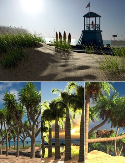 Seaside-Walkway-and-Palm-Tree-Bundle-1