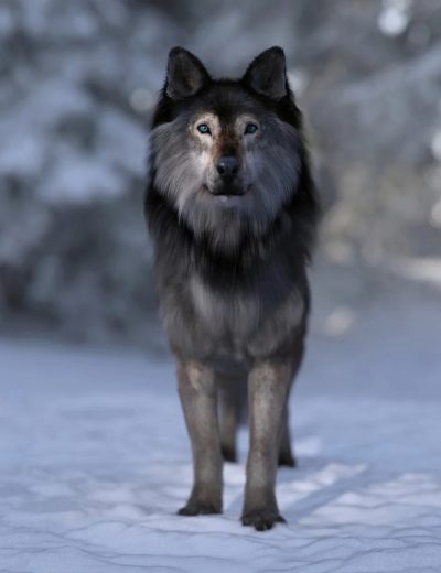 dire-wolf-for-daz-dog-8-00-main-3