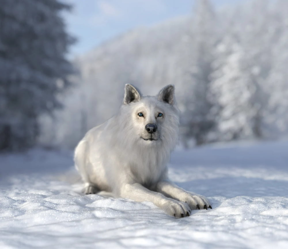 Dire Wolf for Daz Dog 8