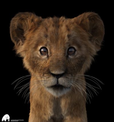 felidae-by-am-kimbo-the-lion-cub-03-daz3d-3