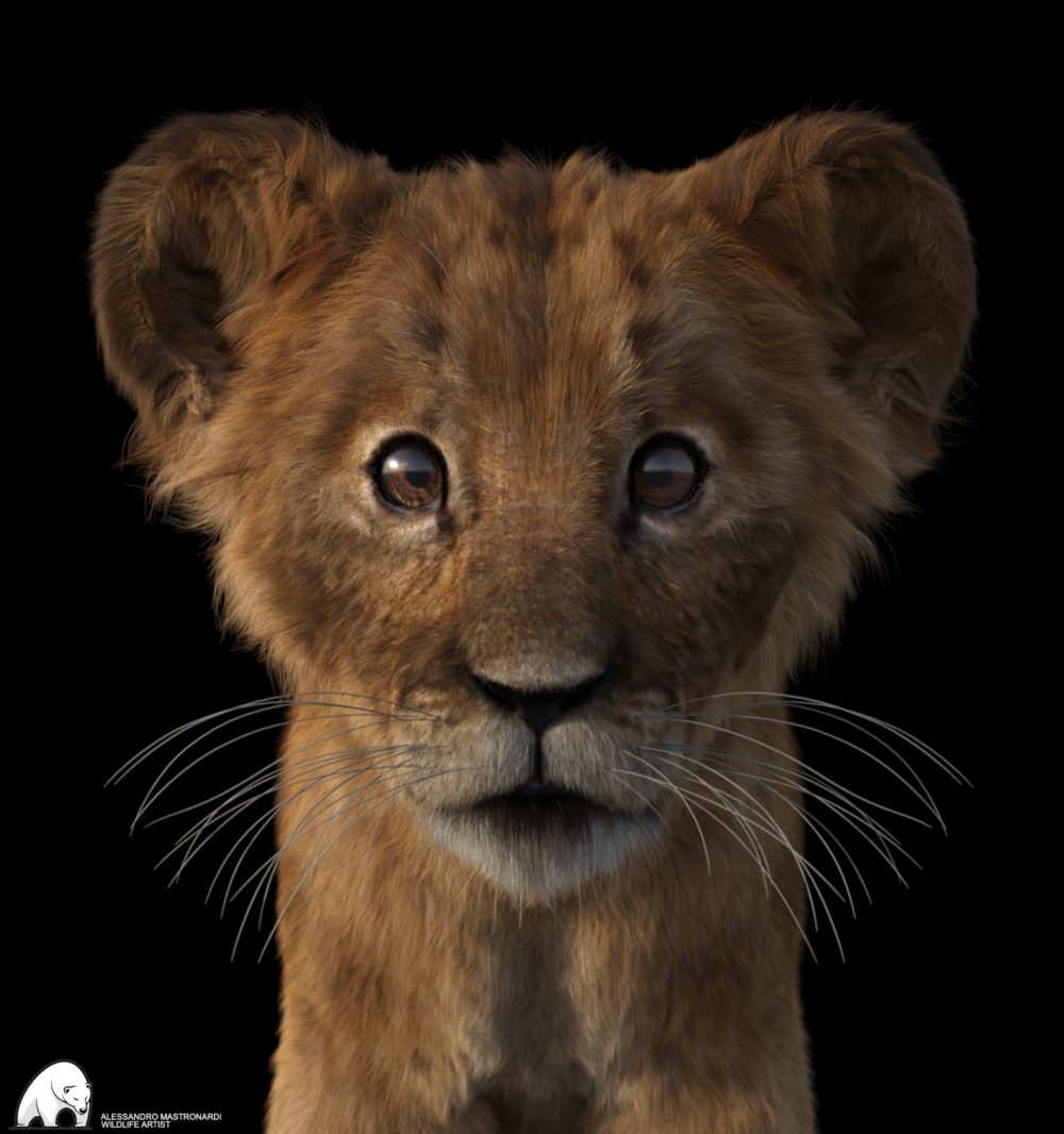 Felidae by AM - Kimbo the Lion Cub
