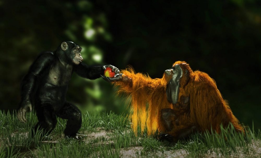 Anthropomorphs - Orangutan for Genesis 8 Male