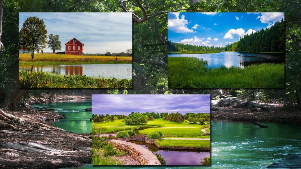 PondScapes Backdrops Volume 1