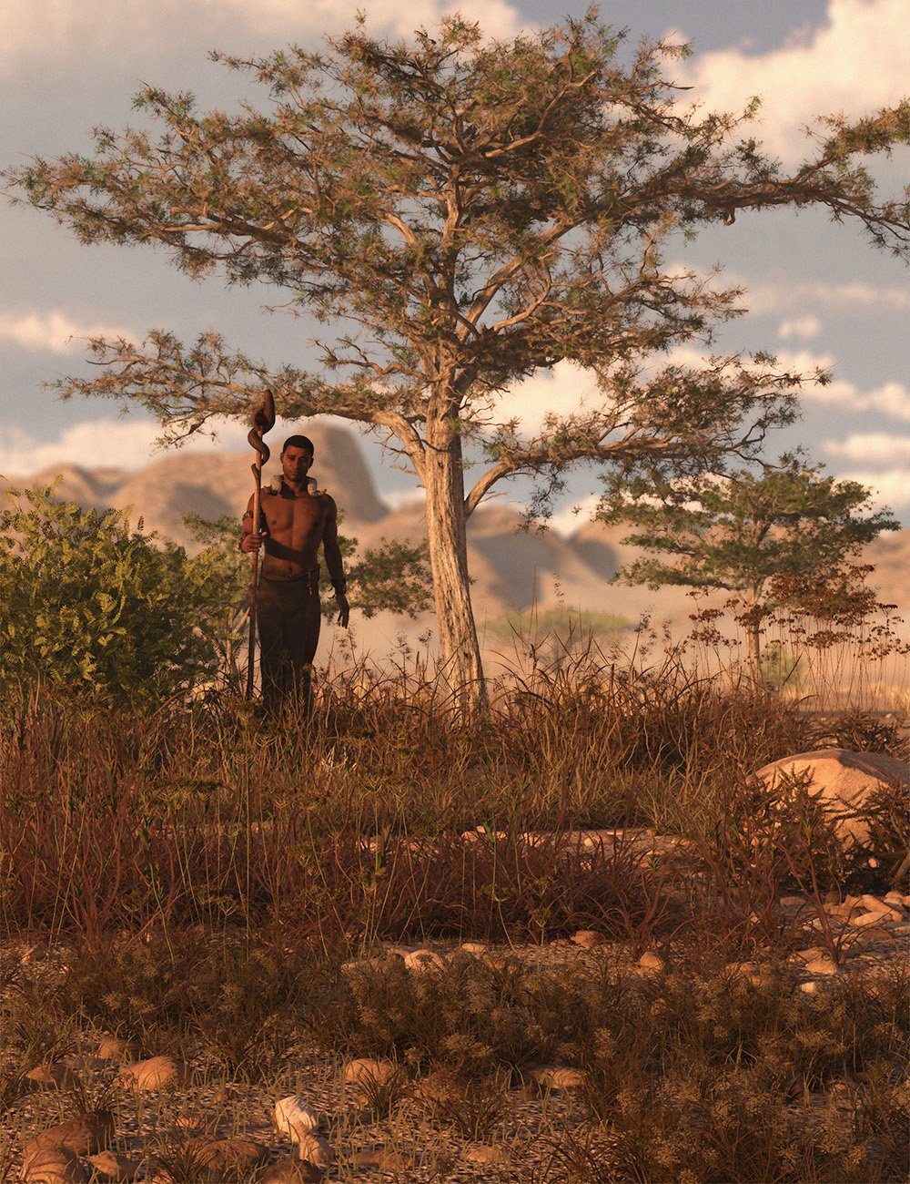 Tropical Acacia Trees