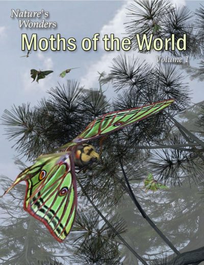 11054-nature-s-wonder-moths-of-the-world-vol-1-main_1-3