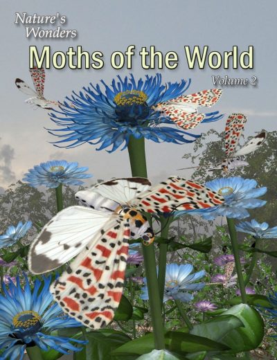 11065-nature-s-wonder-moths-of-the-world-vol-2-main-3